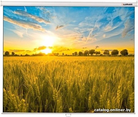 Проекционный экран Lumien Eco Picture 127x200 LEP-100122