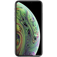 Смартфон Apple iPhone XS 64GB (серый космос)