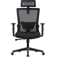 Офисное кресло Evolution ErgoLine 1 (черный)