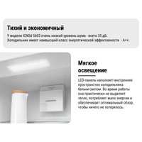 Холодильник Liebherr ICNSd 5603 Pure NoFrost