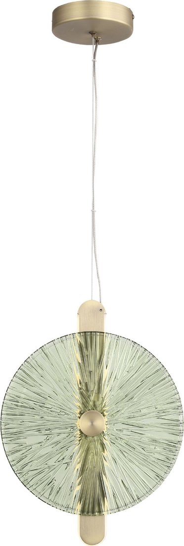 

Подвесная люстра ST Luce SL6141.323.01