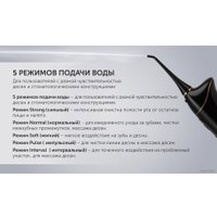 Ирригатор  Polaris PWF 0201 (черный)