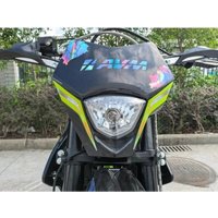 Мотоцикл AVM BisonX 300 (зеленый)