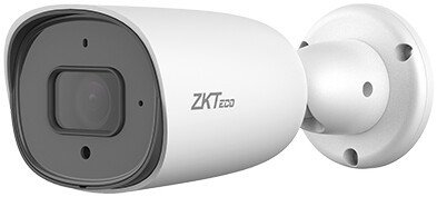 IP-камера ZKTeco BS-852B31C-S2-MI-S