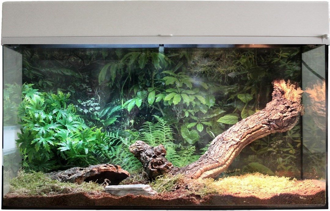 

Террариум Lucky Reptile Стартовый комплект для пауков и скорпионов SK50TS-W (белый)