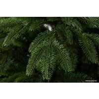 Ель GreenTerra Калифорнийская 1.8 м