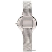 Наручные часы Skagen SKW2307