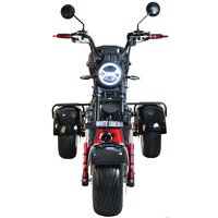 Электроскутер White Siberia CityCoco WS-Pro Trike 3000W 21Ah (с черными брызговиками)