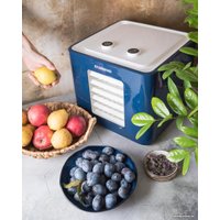 Сушилка для овощей и фруктов StarWind SFD6431