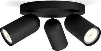 Припотолочная люстра Philips Pongee Plate/Spiral Black 3xNW 230V 915005531301