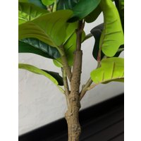 Искусственное растение Merry Bear Home Decor Фикус Лировидный A600090