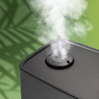 Увлажнитель воздуха Redmond (Редмонд) HF2200