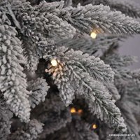 Ель GrandSiti Arona плюс 2.1 м
