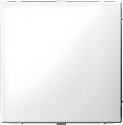 Декоративная заглушка Systeme Electric ArtGallery GAL001309