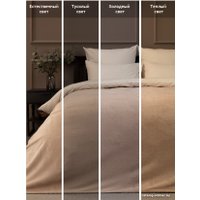 Плед Tex Republic Absolute Однотонный Фланель 1.5 24850 (бежевый)