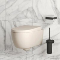 Сиденье для унитаза Ambassador Abner 102T20401 (бежевый матовый)