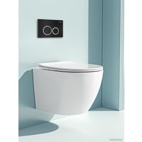 Инсталляция для унитаза Roxen StounFix Dual Fresh 811558