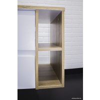  Домино Тумба под умывальник Joy 46 Frost 70 подвесная с двумя ящиками В2