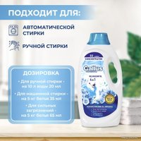 Гель для стирки Gallus Professional Универсальный 4 в 1 (1 л)
