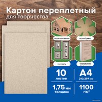 Набор цветного картона BRAUBERG 114211 (10 л)