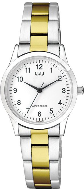 

Наручные часы Q&Q Standard C09AJ006