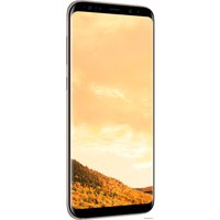 Смартфон Samsung Galaxy S8+ Dual SIM 64GB (желтый топаз) [G955FD]