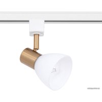Трековый светильник Arte Lamp Falena A3117PL-1WH