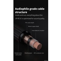 Кабель FiiO LR-RCA1