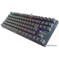 Клавиатура Genesis Thor 300 TKL RGB