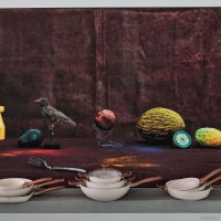 Сковорода-гриль Sambonet Rock N Rose 51021P28 в Орше