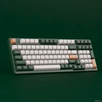 Клавиатура Akko 3098S World Tour London (Akko CS Jelly Pink)