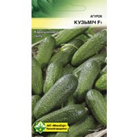 Семена МинскСортСемОвощ Огурец Кузьмич F1 10 шт