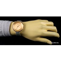 Наручные часы Skagen SKW2139