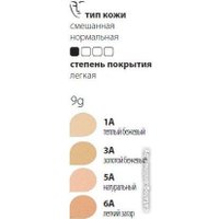 Компактная пудра Paese Прозрачная матирующая Matte Powder 5А (9 г)