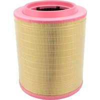 Воздушный фильтр Donaldson P951102