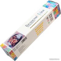 Алмазная мозаика  Белоснежка Инь-ян 720-BK-S