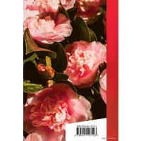 Книга издательства Эксмо. Танго утраченных грез (Рубальская Лариса Алексеевна)