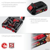 Винтоверт Зубр Мастер ГВЛ-255-22 (с 2-мя АКБ, кейс)