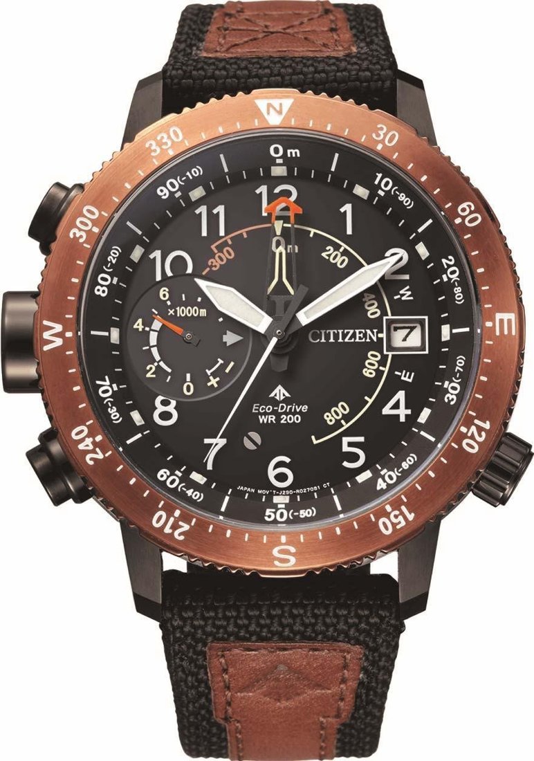 

Наручные часы Citizen BN4049-11E