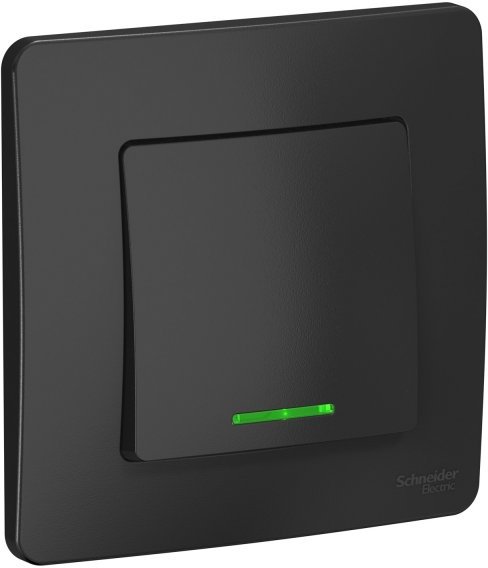 

Выключатель Systeme Electric Blanca BLNVS010116