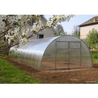 Теплица ComfortProm 40x20/1 10x4 м 10011021 (двухстворчатая, 6 мм поликарбонат) в Борисове