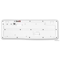 Клавиатура Оклик K225W (белый)