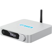 Сетевой ресивер FiiO SR11 (серебристый)