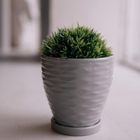 Вазон Вещицы Эллипс Fdtc2 (серый)