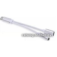 Адаптер Sipl AK291B USB Type C - USB Type C/3.5 мм (0.13 м, серебристый)