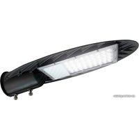 Городской фонарь JAZZway PSL 03 30w 5000K GR IP65