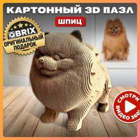 3Д-пазл QBRIX Шпиц 3D 20023