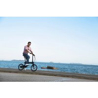 Электровелосипед Xiaomi MiJia QiCycle (черный)