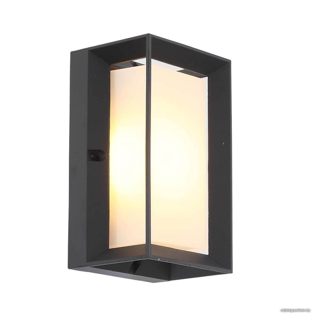 Фасадный светильник ST Luce Cubista SL077.411.01