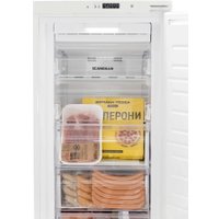 Морозильник Scandilux FNBI303E